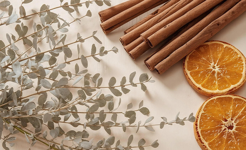 Decoración para navidad