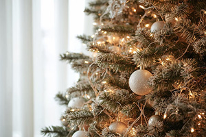 Decoración de navidad