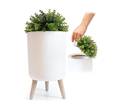 contenedor con planta verde