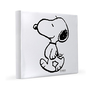 Decoración de Snoopy