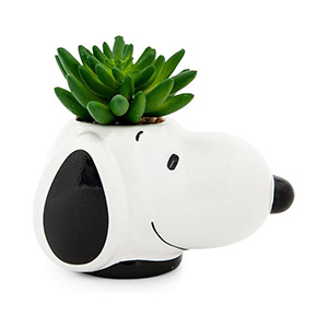 Decoración de Snoopy